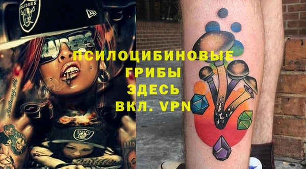 гашик Бугульма
