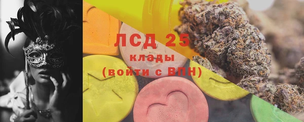 МДПВ Бородино