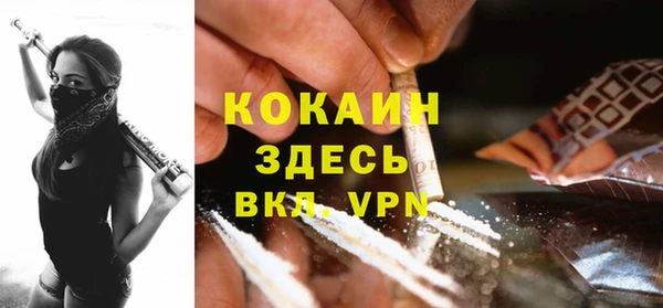 МДПВ Бородино