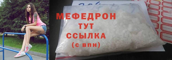 МДПВ Бородино