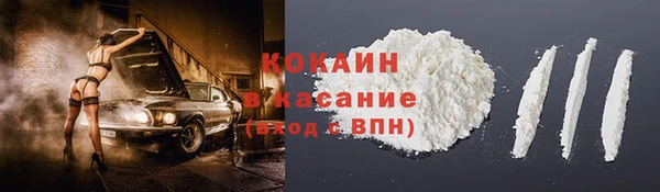 МДПВ Бородино
