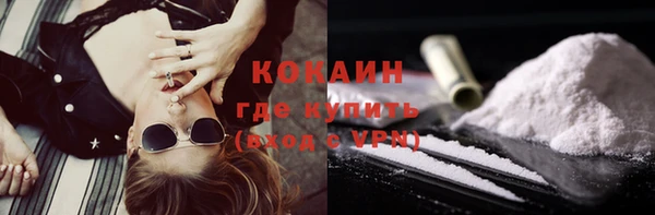 МДПВ Бородино