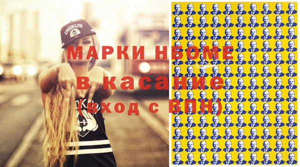 МДПВ Бородино