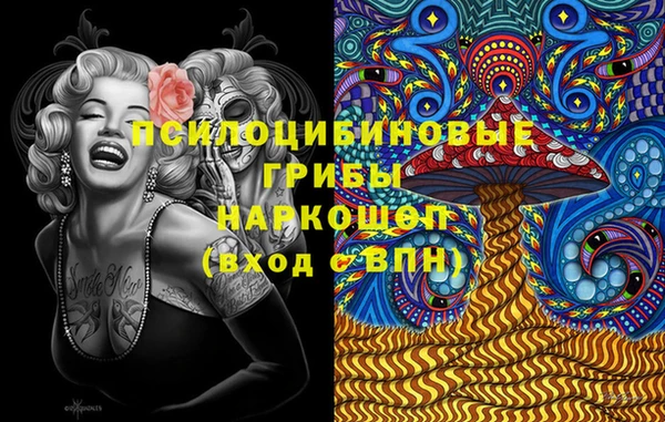 2c-b Богородск