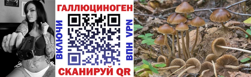 мега   даркнет сайт  Тобольск  Галлюциногенные грибы мухоморы 